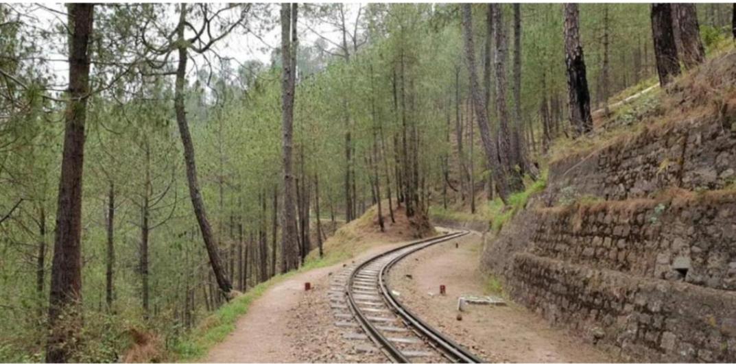 The Heritage Home Kasauli I Pine View Serviced Villa I Best Seller I Vacations I Family Events I Sky Bonfire I Kasauli By Exotic Stays Exterior photo