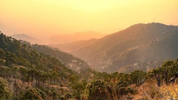 The Heritage Home Kasauli I Pine View Serviced Villa I Best Seller I Vacations I Family Events I Sky Bonfire I Kasauli By Exotic Stays Exterior photo