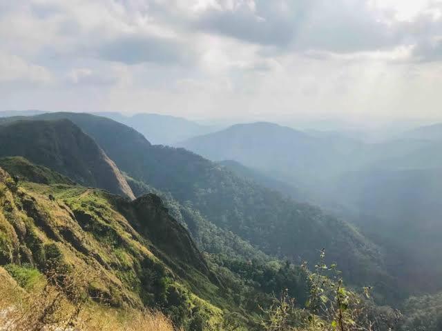 The Heritage Home Kasauli I Pine View Serviced Villa I Best Seller I Vacations I Family Events I Sky Bonfire I Kasauli By Exotic Stays Exterior photo