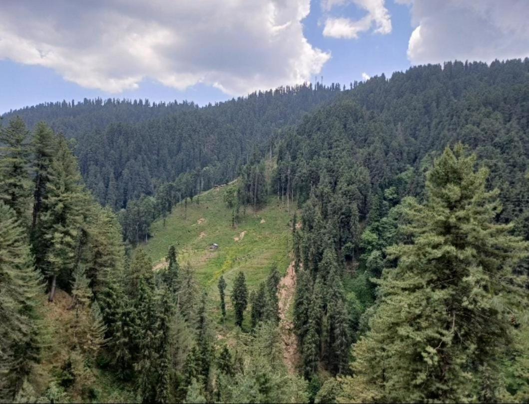 The Heritage Home Kasauli I Pine View Serviced Villa I Best Seller I Vacations I Family Events I Sky Bonfire I Kasauli By Exotic Stays Exterior photo